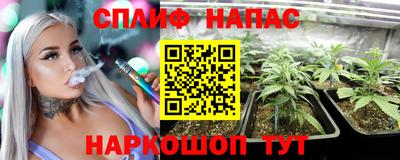 ГАЛЛЮЦИНОГЕННЫЕ ГРИБЫ Шебекино