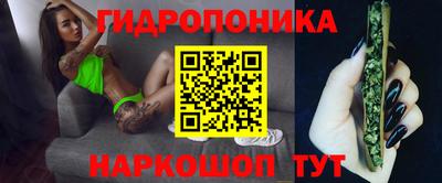 ГАЛЛЮЦИНОГЕННЫЕ ГРИБЫ Шебекино