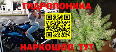ГАЛЛЮЦИНОГЕННЫЕ ГРИБЫ Шелехов