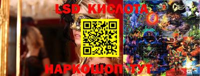 ГАЛЛЮЦИНОГЕННЫЕ ГРИБЫ Шебекино
