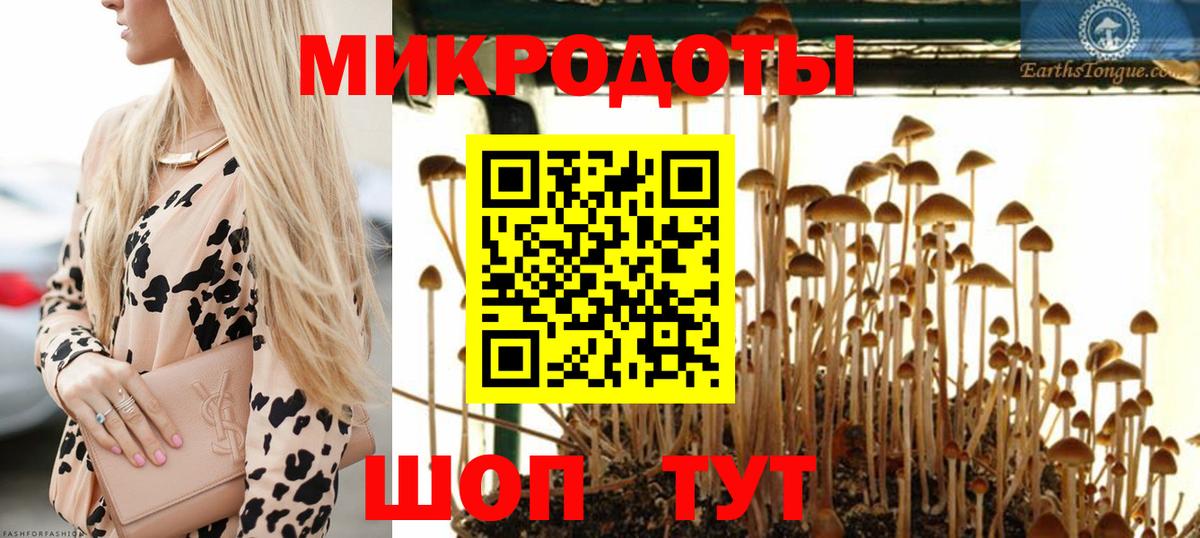Псилоцибиновые грибы ЛСД  Вход с VPN  Псилоцибиновые грибы Magic Shrooms  Ачинск 
