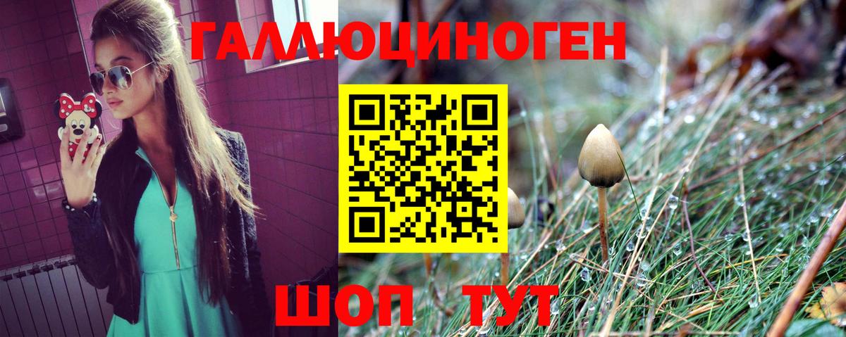 Псилоцибиновые грибы мухоморы Ачинск